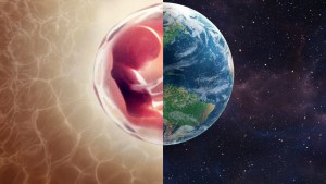 Xem Phim Con người: Thế giới bên trong cơ thể